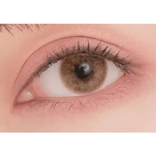 LensTown Romantea Venice Brown Toric — single-eye close-up showing the contact lens appearance