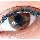 LensVery Rosee Classic Brown — single-eye close-up showing the contact lens appearance