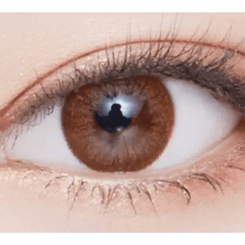 LensVery Rosee Classic Brown — single-eye close-up showing the contact lens appearance