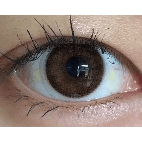 LensVery Rosee Romantic Brown — single-eye close-up showing the contact lens appearance