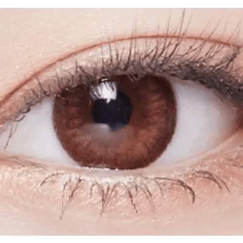 LensVery Rosee Romantic Brown — single-eye close-up showing the contact lens appearance