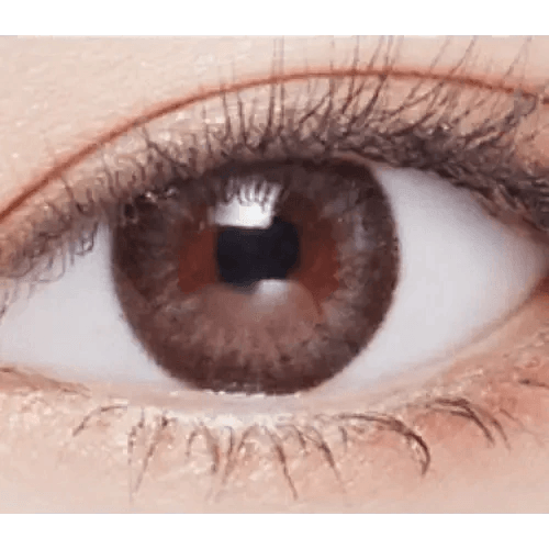 LensVery Rosee Romantic Gray — single-eye close-up showing the contact lens appearance