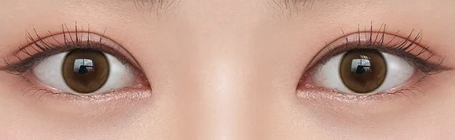 Olens Shine Touch Milky Brown colored contact lens, 12.7mm graphic diameter, Monthly wear