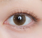Olens Shine Touch Milky Brown colored contact lens, 12.7mm graphic diameter, Monthly wear