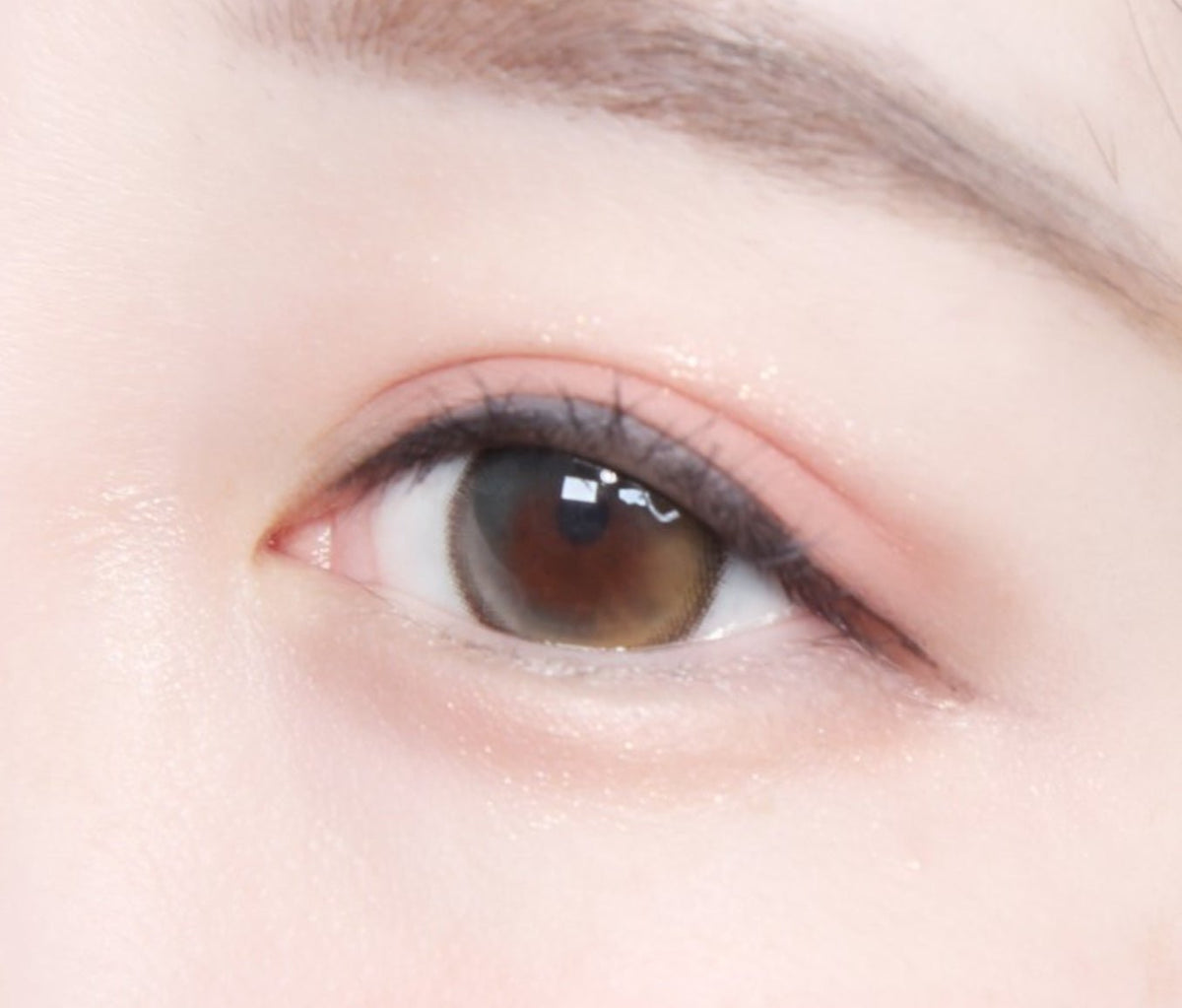 LensTown Tobetter Big 1Day Black (10p) colored contact lens, 13.5mm graphic diameter, Daily wear